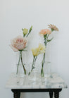 Chelle bud vase collection; pastel flowers in modern glass vases against a white background