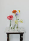 Colorful flowers from our Wylder collection in simple glass vases posed on a gray marble table against a white wall