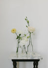 Flowers from the Haven collection in glass vases